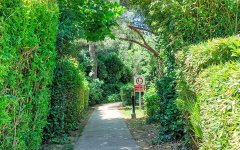 Le Luberon Loisirs: Foglia, Verde, Vegetazione, Arbusto, Comunita 'Impianto, Trail, Giardino, Groundcover, Riserva Naturale, Woody Impianto