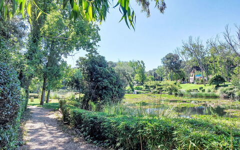 Le Luberon Loisirs: Albero, Verde, Natura, Ambiente Naturale, Vegetazione, Paesaggio Naturale, Arbusto, Giardino, Comunita 'Impianto, Groundcover