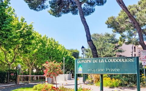 Les Morières: Hoja, Arbusto, Plantas Leñosas, Sombra, Jardín, Paisajismo, Parque, Firmar, Jardín Botánico