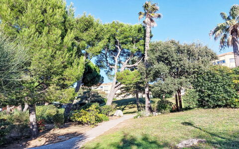 Six Fours la Coudoulière 500: Blu, Foglia, Albero, Natura, Ramo, Vegetazione, Arbusto, Paesaggio, Comunita 'Impianto, Tronco