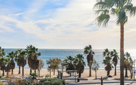 Cap Hermes: Tree, Palm Tree, Arecales, Woody Plant, Sky, Plant, Sea, Vacation, Beach, Shore
