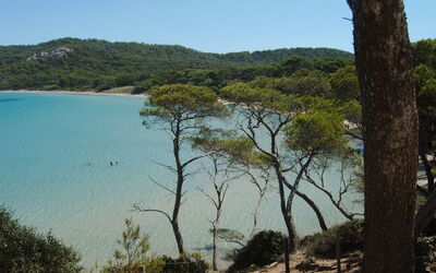 83218 - La Londe-les-maures