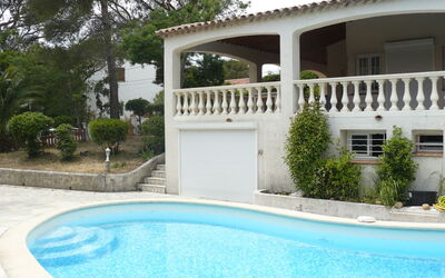 Primerose, Saint Aygulf - Saint-Aygulf, Provence-Alpes-Côte D'Azur, Frankreich