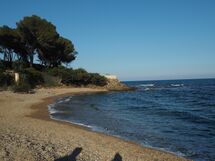 Primerose, Saint Aygulf