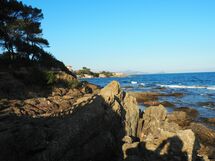 Primerose, Saint Aygulf