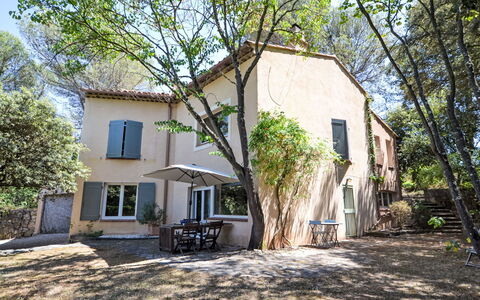 Kerkor: Boom, Afdeling, Woongebied, Huis, Huis, Land Lot, Menselijke Nederzetting, Verblijf, Landgoed, Voorstad