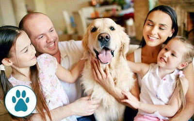 Pet Friendly Vacation Rentals